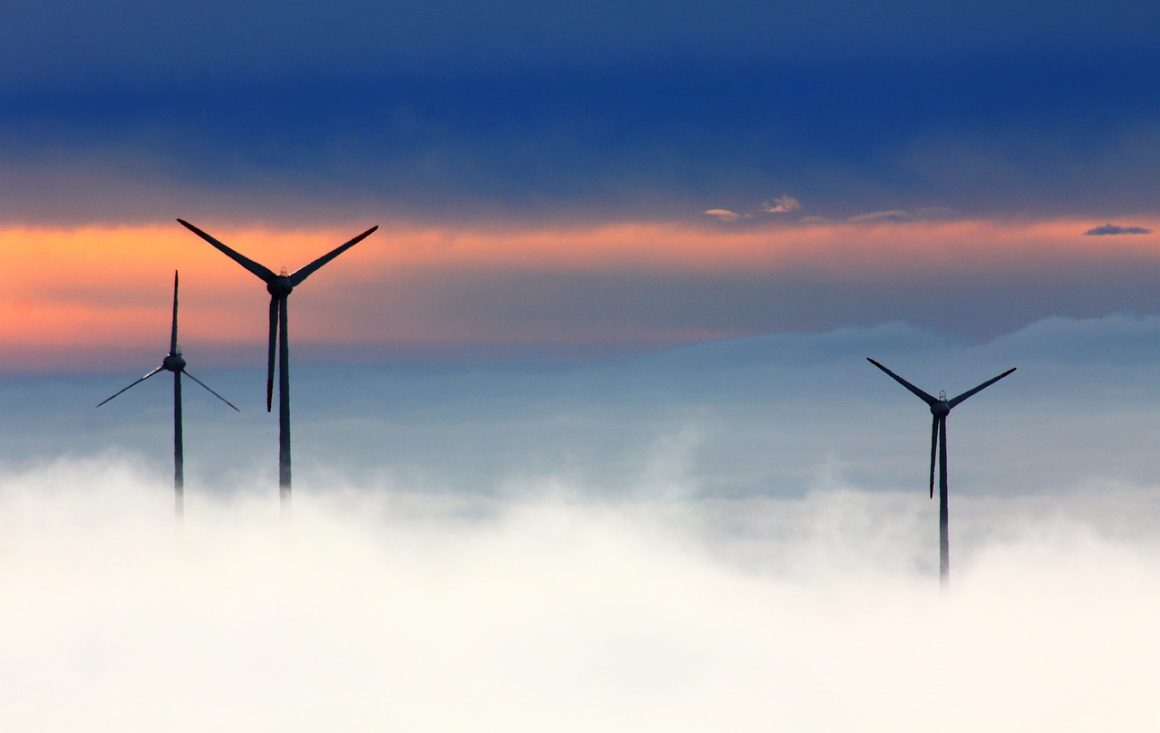 Transformacja energetyczna: rola przemysłu w odnawialnych źródłach energii
